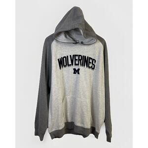 Champion Brand Michigan Wolverines & Arizona Coyotes Men's Hoodie, Gray Cole XXL